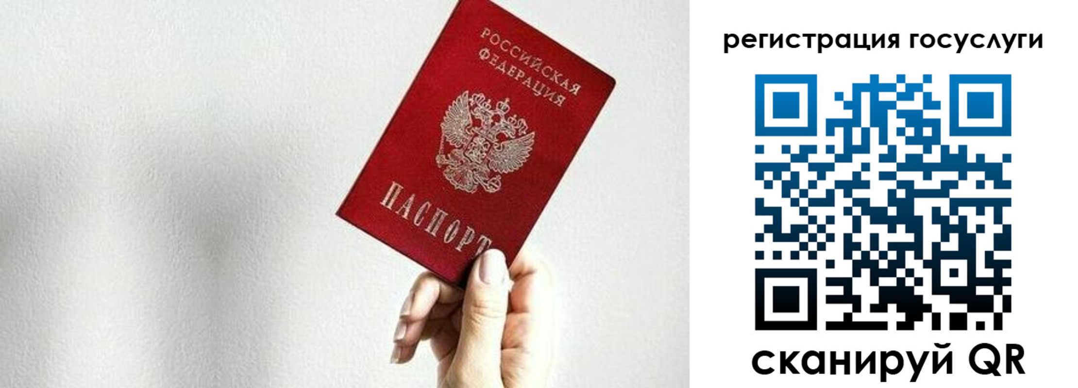 прописка гарантия в Кировской области